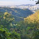 노적봉주차장입구사거리 이미지