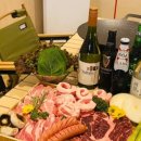 포레스트 173 이미지