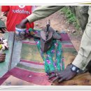 풍경세탁소 이미지