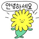 포항패킹