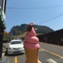 캘리소프트서브성산일출봉점