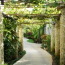 까르마(나) 이미지