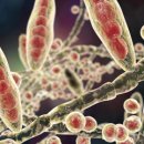 더나은병원 이미지