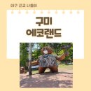 곰PC | 대구 근처 나들이 주말에 아이와 아이들과 갈만한곳 구미 에코랜드 추천 해요