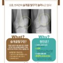 아미고 생활건강