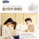 2026, 직접 받은 출산 전 임신축하선물 리스트들..🍀