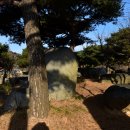 안국사지 이미지