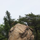 자하 이미지