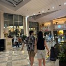 903정육점 | 메이힐스 리조트 후기(20240817~20240818)