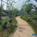 나불천배수펌프장 이미지