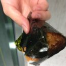 소소한김밥