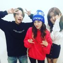 다정 이미지
