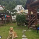 경주숲속펜션 이미지