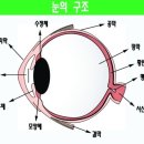 트리플약국 이미지