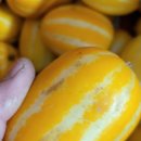 다혜농장 이미지