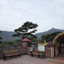 사슴자연 방목장 | 경남 산청 아이와 가볼만한곳, 동의보감촌 사슴생태체험로 (1박 2일 가족 여행 코스 마무리)