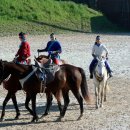 더마파크 이미지