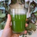 김해농장 이미지