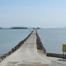 빛과 소금 이미지