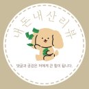[호캉스 리뷰]롯데호텔 서울 이그제큐티브 타워(디럭스, 커넥팅 룸)
