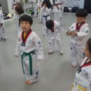 경희대 두산태권도 이미지