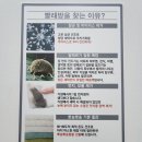 클린팡팡셀프빨래방 - 김해시 경원로73번길 15 | 클린팡팡셀프빨래방