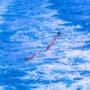 청산도올레펜션 이미지