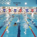 군립수영장 이미지