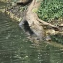 선정식당 이미지