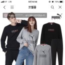 푸마 맨투맨&amp;조거팬츠 19,900원 이미지