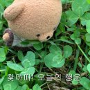 사미 이미지