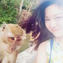 아시아 해외여행지 후기 추천 (일본,대만,동남아등등)