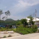 평송단월주유소 | 경기도 양평군 단월면 봉상리 상가 경매.2016 타경 4841