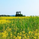 인천국제공항 하늘정원 내 이미지