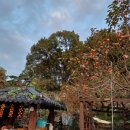 숲속나라 이미지