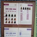 태후사랑 염색방 | 녹양동탈모 천연 염색방 태후사랑 녹양점의 솔직 후기