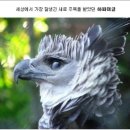 하피 - 강서구 마곡동로10길 46 | 하피