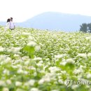 성읍리-28 연합뉴스