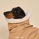 도그엔젤 이미지