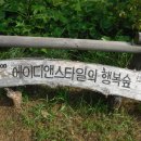 디앤아트플러스 이미지