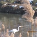 수도사업소 이미지