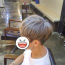 디아르헤어 이미지
