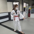 강서무도학원 | 성인 태권도 무도 단증 취득 속성반 체험 가격 - 태권도성인반 품새, 겨루기 후기와 리뷰 추천