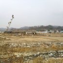 오향골송어 이미지