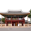 금성관광주 이미지
