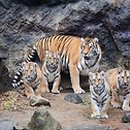 우리나라 이미지