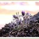 문산2리 이미지