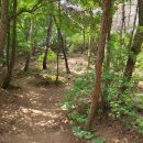 봉황정 | 대전 계족산 등산코스 - 지옥의 봉황정 후기