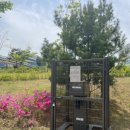 화성시동탄보건소 이미지