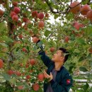 거창청과 이미지